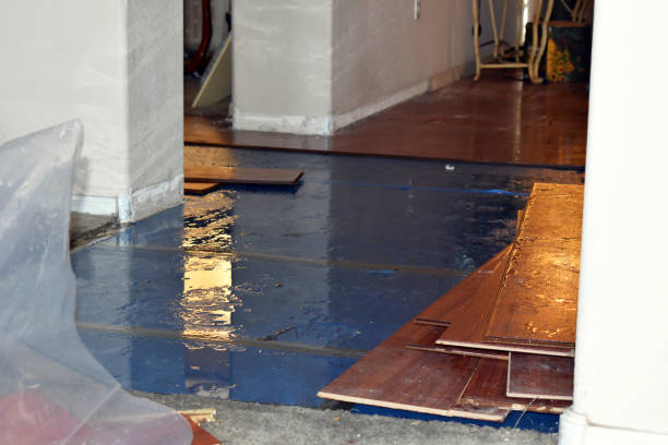 Professional Water Damage Repair technician working in Viola, WI